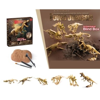 Žaislinis archeologijos kasinėjimų rinkinys Dinozauro skeletas